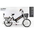 48 В 20-дюймовый электрический велосипед Электромобиль